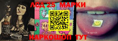 гашик Сланцы