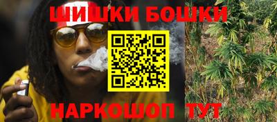 гашик Сланцы