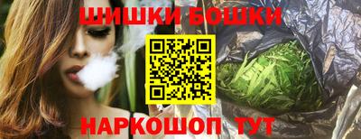 гашик Сланцы