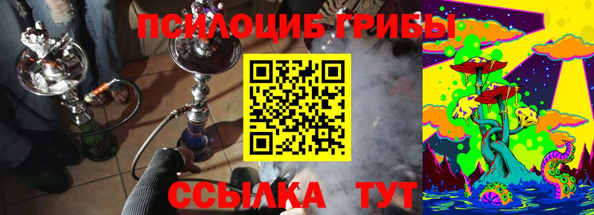 Галлюциногенные грибы Cubensis Барнаул